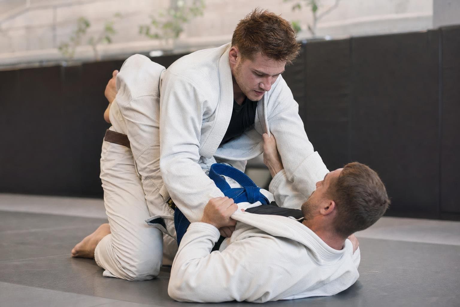 BJJ Training
